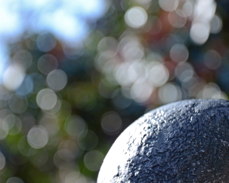 Illustration for article titled Shooting Challenge: Bokeh, Gallery 2